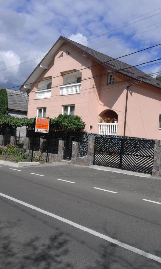 Casa Anca Hotel Sighetu Marmatiei Exterior photo